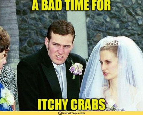 20 Wedding Memes You’ll Find Funny #weddingmemes #memes #funnymemes #humor #sayingimages Wedding Day Meme, Wedding Meme, Today Meme, Pinterest Humor, Happy Wedding Day, Memes Of The Day, Funniest Memes, Funny Animal Memes, Bad Timing