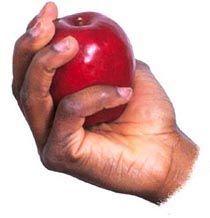 apple2 Hand Holding Fruit Reference, Hand Holding Apple Reference, Hands Grabbing Reference, Hand Holding Fruit, Hand Holding Apple, Hands Anatomy, Hands Grabbing, Hand Modelling, Hands Reference