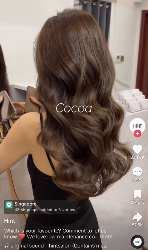 Nutella Brown Hair Color, Hair Color Ideas Solid Colors, Brown Hair Colors On Tan Skin, Medium Mocha Brown Hair Color, Thalia Hair Color, Hair Dye Ideas For Brunettes Straight, Long Chocolate Hair, Healthy Brown Hair Color, Different Brown Hair Colors Shades Brunettes