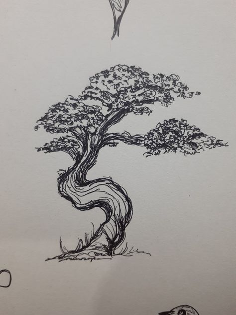 bonsai tree drawn with ink pen Japanese Bonsai Tree Drawing, Tree Pen Drawing, Bonsai Wallpaper, Juniper Tattoo, Bonsai Tree Drawing, Trees Art Drawing, Bonsai Drawing, Boyfriend Scrapbook, Ink Pen Art