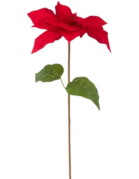 Myer Giftorium Heirloom Red Velvet Poinsettia Pick Ornament | MYER Arrangement Floral, Christmas Picks, Christmas Hanging Decorations, Christmas Hanging, Hanging Decorations, Canadian Tire, Tall Vases, Christmas Decorations Ornaments, Classic Christmas