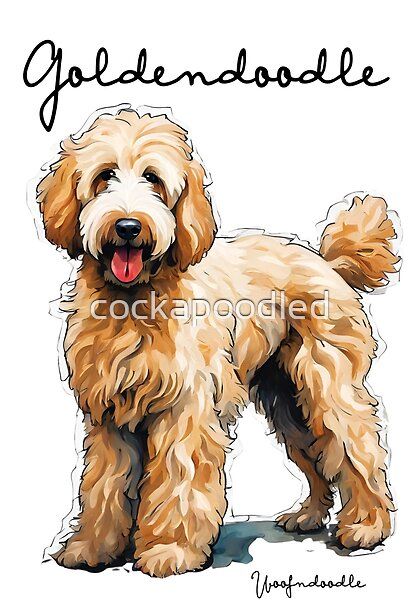 Goldendoodle Doodle Dog by cockapoodled | Redbubble