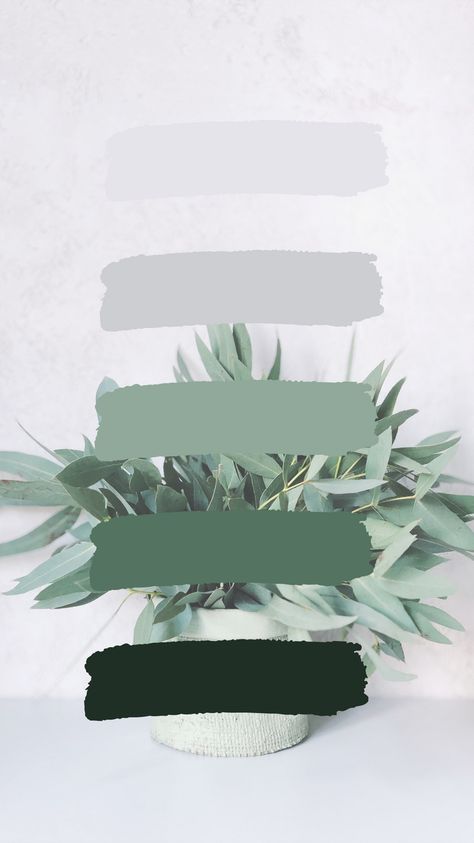 Green Gray Black Color Scheme, Black White Sage Color Palette, Sage And Grey Color Palette, Emerald Branding Color Palette, Sage And Black Color Palette, Black White Grey Green Color Palette, Branding Color Palette Green, Green Gray Color Palette, Green Grey Color Palette