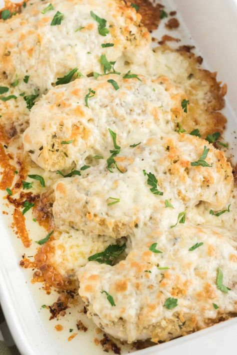 Want a delicious dinnertime recipe that is easy and fairly quick on time? This Baked Cheesy Chicken will fill you up and keep you absolutely satisfied. Cheesy Chicken Recipes Easy, Cheesy Chicken Bake, Baked Cheesy Chicken, Cheesy Chicken Recipe, Cheesey Chicken, Cheesy Chicken Recipes, Easy Cheesy Chicken, Baked Breaded Chicken, Foods Chicken