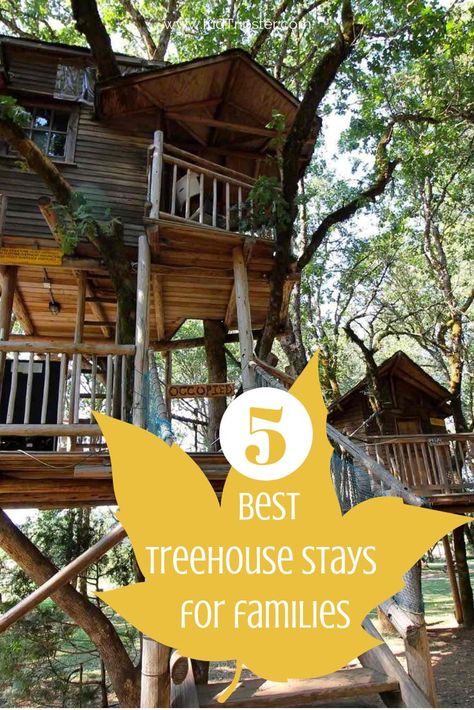 5 Best treehouse stays for families in the USA. #treehouse #treehouses #tinyliving #highlife #familytravel #familyvacation #familytrip #roadtrip #travelingwithkids #travelingwithteens #kids #teens #travel #oregon #texas #northcarolina #maine Best Tree Houses, Walking Taco Bar, Treehouse Vacations, Treehouse Rentals, Travel Maine, Walking Taco, Unique Stays, Illinois River, Travel Oregon