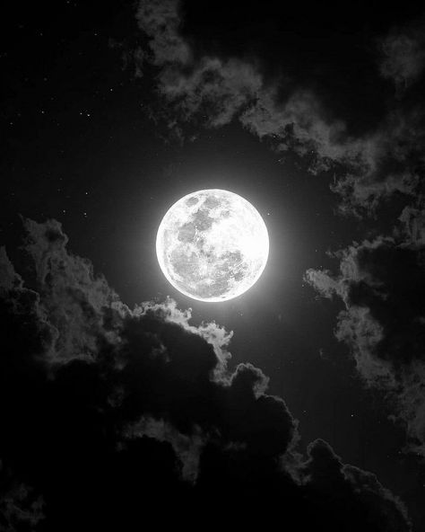 The Full Moon, The Night Sky, Dark Night, Full Moon, Night Sky, Moon, Stars