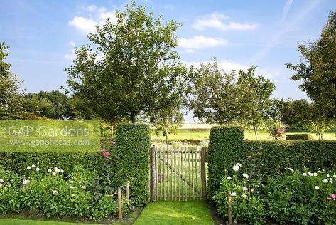 Farm Landscaping, Gardening Design Diy, Westbury Gardens, Garden Gate Design, Betula Pendula, Orchard Garden, Vegetable Garden Planner, Wooden Gate, Garden Entrance