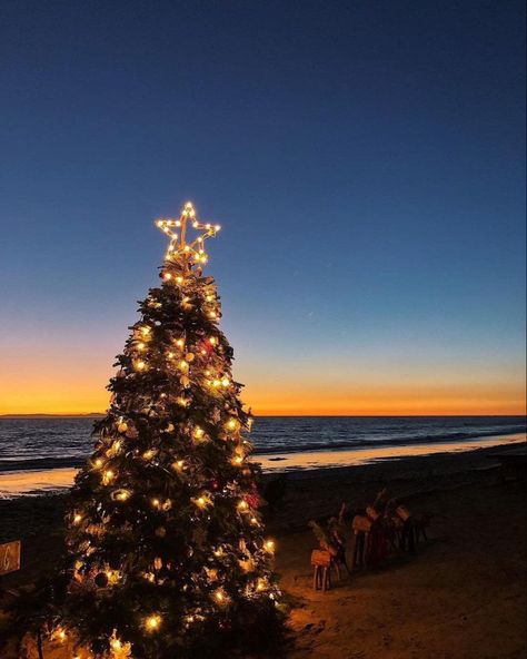 California Christmas, Beachy Christmas, Tropical Christmas, Beach Christmas, Coastal Christmas, New Year Holidays, City Aesthetic, Laguna Beach, Beach Holiday