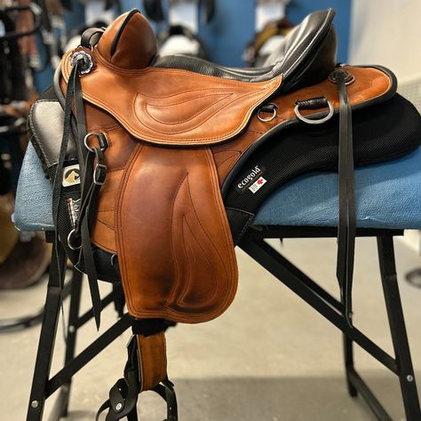 🌟 Looking for a new saddle? Check out our current consignment saddle selection! We have a number of saddles coming and going all the time, so don't miss out!🐴 17" Devoucoux Biarritz S Saddle - $3,900 17.5" NSC Annika Dressage Saddle - $3,800 16" Sensation Western Sport Treeless Saddle - $3,795 17.5" Childeric DGP PEA Dressage Saddle - $3,700 14" Double J Pozzi Pro Barrel Saddle - $2,400 18" Forestier Illium Dressage Saddle - $2,200 16" Todd Bailey Western Saddle - $2,200 17.5" Albion Legen D... Treeless Saddle, Barrel Saddle, Double J, Dressage Saddle, Western Saddle, Come And Go, Dressage, Saddle, Barrel