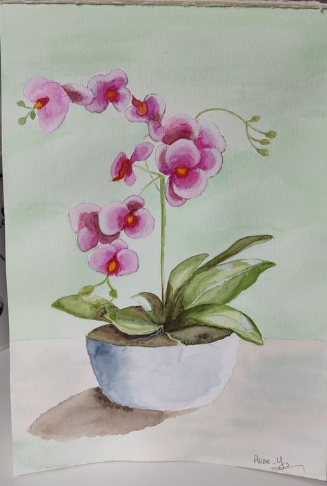 Orchid Watercolor Painting, Doodles Watercolor, Loose Watercolour, Floral Art Paintings, Loose Watercolor Flowers, Painting Flowers Tutorial, Watercolor Art Diy, Learn Watercolor Painting, Water Color Art