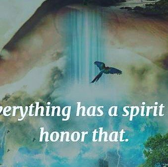 American Quotes, Native American Wisdom, Gratitude Challenge, Native American Quotes, Greatest Mysteries, Inspirational Artwork, Wild Woman, Meditation Practices, Ancient Wisdom