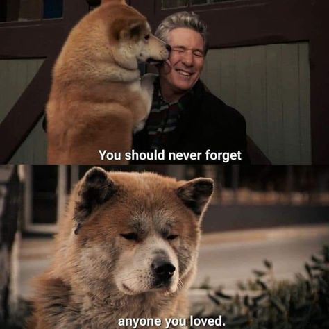 Dog memes,sad,love Hachiko Movie, Hachi Dog, Hachiko Dog, Hachi A Dogs Tale, Movie Character Quotes, A Dog's Tale, Best Movie Lines, Cinema Quotes, Wise Men Say