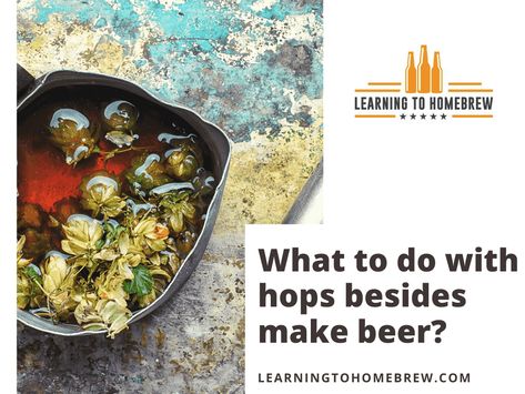 Those that grow hops or homebrewers that find themselves with extra hops on hand might wonder what to do with hops besides making beer. Fortunately, there are Hops Plant, Making Beer, Beer Hops, Cooking Sauces, How To Make Beer, Beer Brewing, How To Make Tea, Drying Herbs, Home Recipes