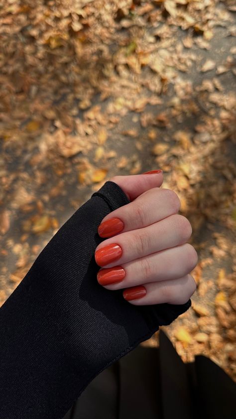 Fall October Nails Short, Burnt Organs Nails, Brick Orange Nails, Orange October Nails, Burnt Orange Short Nails, Autumn Orange Nails, Fall Nail Colors Orange, Biab Colours, Orange Autumn Nails