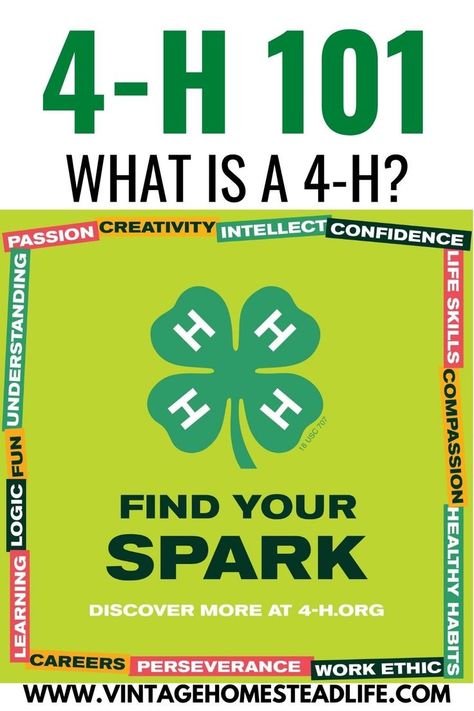 4-h Poster Ideas, What Is Passion, 4 H Clover, 4 H Club, Work Ethic, It's Meant To Be, Life Skills, Have You Ever, 4 H