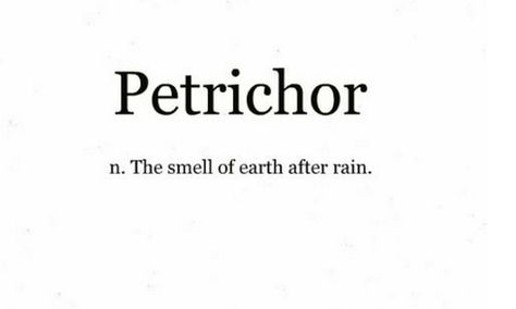 Petrichor: the smell of earth after rain. Didn't know there was a word for it! <3 Smell Of Rain Word, Petrichor Tattoo, Smell Of Earth After Rain, The Smell After Rain, The Smell Of Rain, Phobia Words, Rain Words, Smell Of Rain, Definition Quotes