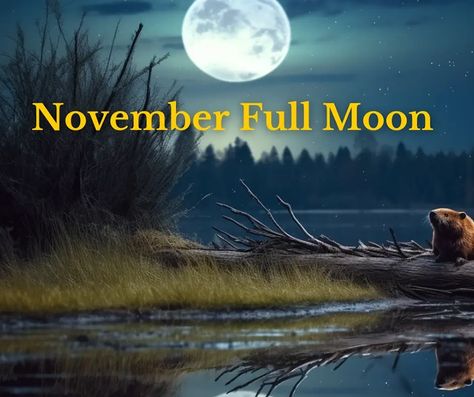 Beaver Moon 2023, Full Moon November 2023, November Magick, Full Moon Taurus, Kyle Thomas, Full Moon Meaning, Moon Taurus, November Full Moon, Beaver Moon