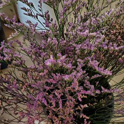 Limonium #flowers #freshflowers #davisfloral🌹 Fresh Flowers, Flowers, Floral, On Instagram, Quick Saves, Instagram