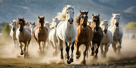 AI Generated. AI Generative. Group of horses running outdoor nature background. Wild life animal decoration. Graphic Art 7 Horses Running Painting Vastu Hd Wallpaper, Seven Running Horses, Running Horse Wallpaper Hd, Running Horses Hd Wallpaper, Group Of Horses, Running Horse Wallpaper For Laptop, Running Horses Painting, Horses Running, Wild Horses Photography