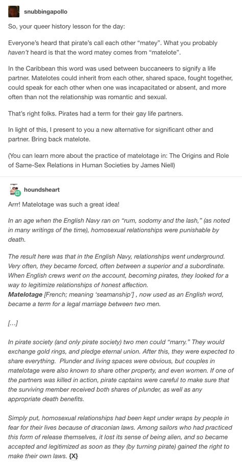 Queer history of pirates Pirate History Facts, Pirating Websites Tumblr, How To Write Pirates, Pirate Writing Ideas, Pirates Facts, Pirates Historical, Pirate Story Ideas, Writing Pirates, Pirate Facts