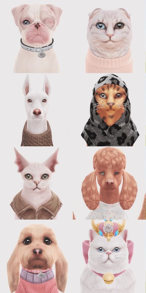 pet dump! ♡🐶 | deepmoon Sims 4 Pet Toy Box Cc, Sims 4 Pet Cc Clothes Patreon, Sims 4 Cat Download, Sims4 Cats And Dogs Cc, Sims 4 Pet Download, Sims 4 Cc Dog Clothes, Sims 4 Cc Dogs, Pet Sims 4 Cc, Cat Sims 4 Cc