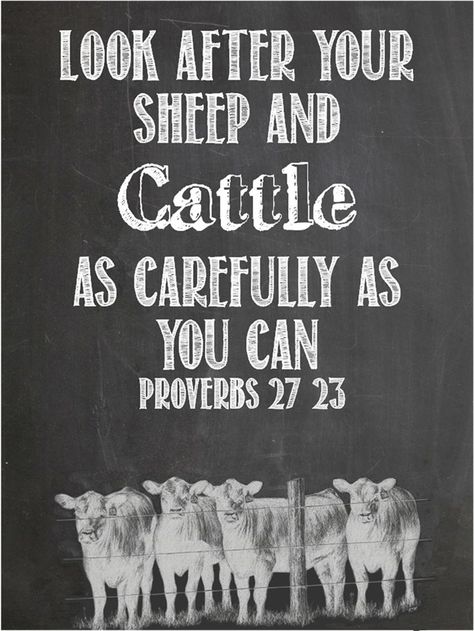 Cattle Quotes, Sheep Quote, Proverbs 27, Show Cattle, Showing Livestock, Cattle Ranching, Country Quotes, Quotes By Authors, Animal Quotes