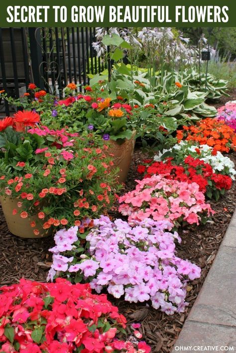 My secret to growing the Most Beautiful Flowers! It's easy and you will have tons of blooms in no time even if you don't know how to plant flowers! | OHMY-CREATIVE.COM Small Flower Gardens, Summer Flowers Garden, Garden Wallpaper, Flower Pot Garden, Beautiful Plants, Beautiful Flowers Garden, Most Beautiful Flowers, Landscaping With Rocks, How To Grow