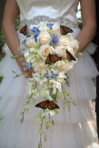 Live Butterflies Wedding, Butterfly At Wedding, Wedding Bouquets With Butterflies, Butterfly Wedding Theme Centerpieces, Creative Wedding Themes, White Butterfly Wedding Dress, Wedding With Butterflies, Butterfly Decor Wedding, Butterfly House Wedding