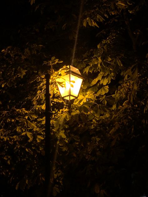 Rainy Day Pictures, Carpe Noctem, Little Krishna, Light Study, Street Lights, Cute Emoji Wallpaper, Poster Background, Poster Background Design, Legolas