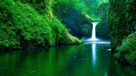 waterfall, Water, Nature, Landscape, Green, River, Forest HD Wallpaper Desktop Background Desktop Background Nature, Nature Desktop Wallpaper, Green Nature Wallpaper, Pc Desktop Wallpaper, Nature Desktop, Waterfall Wallpaper, Mobile Backgrounds, Desktop Background Images, Iphone Wallpaper Landscape