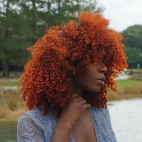 Blackfire on Twitter: "Black women w/ ginger/red hair 😍… " Winter Lip Color, Long Hair Tips, Dyed Natural Hair, Pelo Afro, Glossy Hair, Brunette Woman, American Woman, Natural Beauty Tips, Natural Hair Color