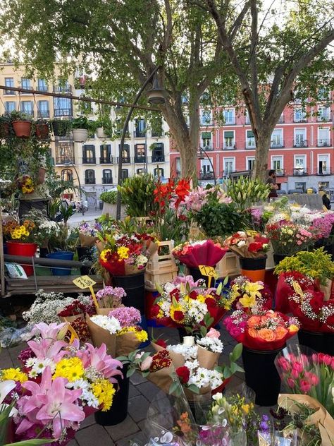 ℒ on Twitter: "🌺🌸🍹 https://t.co/0C8eV6FAhV" / Twitter Madrid Streets Aesthetic, Spain In October, Madrid Streets, Madrid Life, Spain Flowers, Madrid Spain Aesthetic, Madrid Summer, Madrid Instagram, 5 Days In Paris