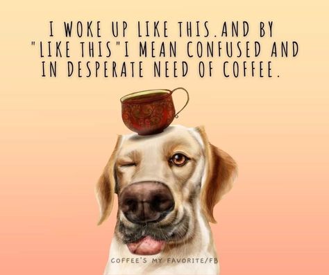 Funny Coffee Quotes Mornings, Coffee Funnies, Coffee Art Drawing, Morning Coffee Funny, Coffee Quotes Morning, Sunday Morning Coffee, Coffee Inspiration, Coffee Cartoon, Morning Quotes For Friends