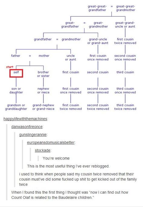 Family tree Raw Lines, Count Olaf, Family Tree Chart, The More You Know, Writing Help, What’s Going On, Writing Inspiration, Tumblr Posts, Tumblr Funny