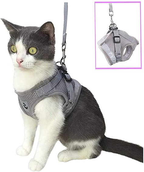 Cat Hiking, Kitten Harness, Service Cat, Pet Backpack Carrier, Cat Leash, Pet Backpack, Cat Backpack, Pet Kitten, Cat Harness