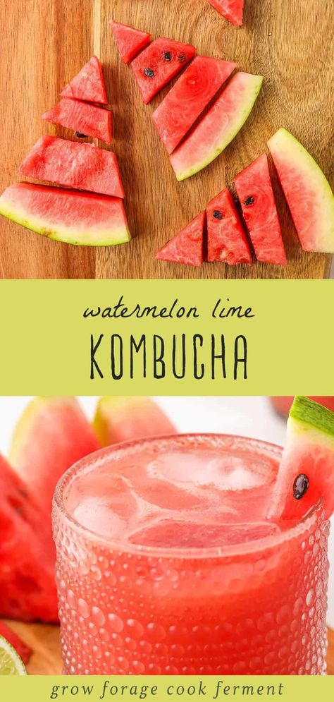 Watermelon kombucha is the perfect flavor to second ferment for summer. With real fruit and probiotic goodness, it's lovely on a warm day!This recipe will make about four 16oz bottles. Kombucha Recipe Flavored, Watermelon Kombucha, Aloe Vera Juice Recipes, Green Tea Kombucha, Kombucha Recipes, Snack Pairings, Best Watermelon, Kombucha Flavors, Kombucha Scoby