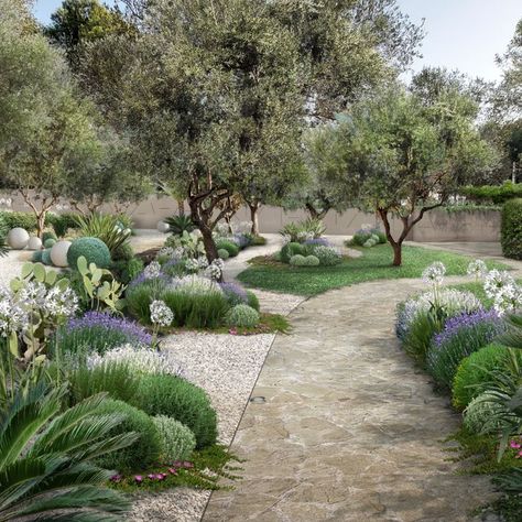 🌿Un giardino ad alto “impatto emozionale”, ricco di essenze n da armonizzare alle piante preesistenti. Un perfetto incontro tra naturale e moderno con grande attenzione al basso consumo idrico🌿 Mediterranean Garden Design, Modern Gardens, Myrtle Tree, Rock Garden Design, Dry Garden, Areas Verdes, Patio Garden Design, Mediterranean Garden, Gorgeous Gardens