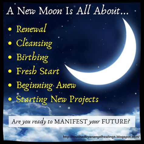 October New Moon, Moon Phases Meaning, New Moon Meaning, New Moon In Scorpio, Moon Activities, Moon In Scorpio, Moon Meaning, Touched By An Angel, Moon Magick