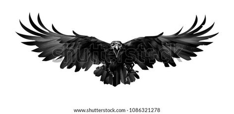 Raven Wolf, Tattoo Png, Viking Tattoo Symbol, Raven And Wolf, Raven Wings, Chihiro Y Haku, Crow Tattoo, Wing Tattoo, Raven Tattoo