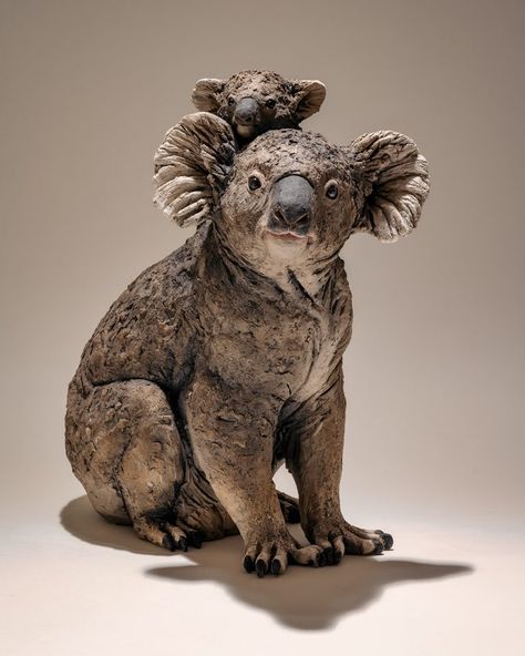 Win a Koala Sculpture Koala Sculpture, Hiking Waterfall, Easy Clay Sculptures, Australian Fauna, Pottery Animals, Ceramic Art Sculpture, Chainsaw Carving, Australian Flora, Montezuma