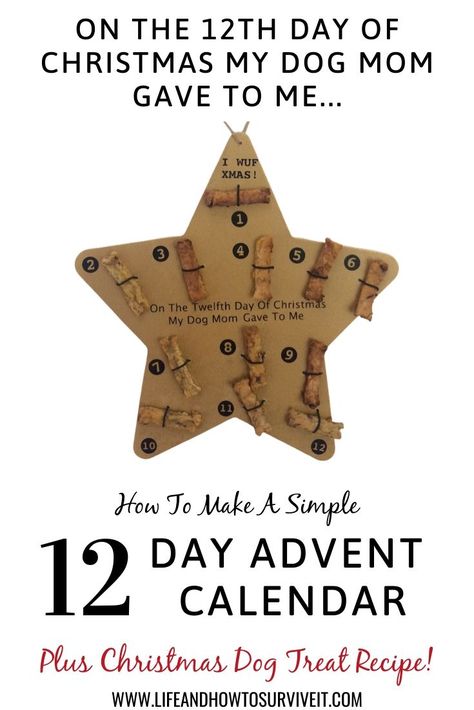 How to make a DIY 12 day advent calendar for dogs Simple Advent Calendar, Cranberry Dog Treats, 12 Day Advent Calendar, Love Advent Calendar, Advent Bags, Turkey And Cranberry, Advent Calendar Pattern, Make An Advent Calendar, Christmas Dog Treats