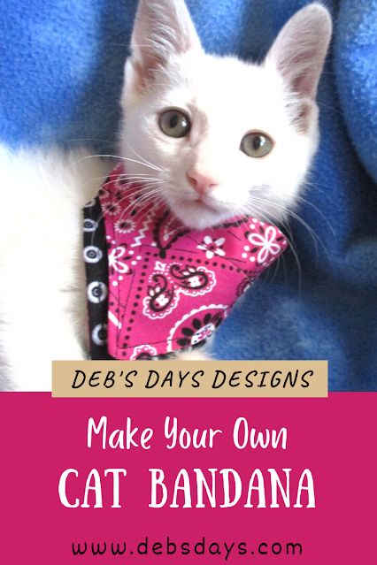 Cat Bandana Diy, Pet Neckwear Diy, Diy Pet Bandana, Cat Bandana Pattern, Cat Collars Diy, Bandana Diy, Bandanas Diy, Barn Cat, Pet Project