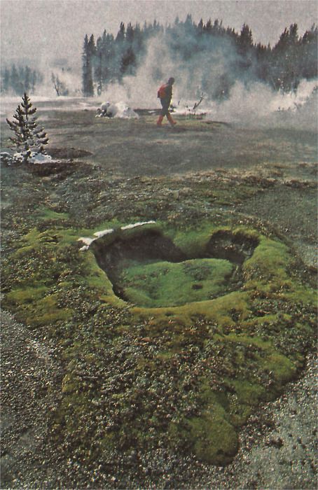 .Vintage National Geographic - Yellowstone park Vintage National Geographic, Vintage Yellowstone, National Geographic Photography, Manu Chao, Yellowstone Park, National Geographic Magazine, Vintage Camping, Vintage Landscape, Vintage Nature