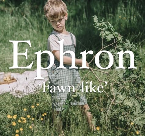 Biblical boy name Ephron. Fantasy Mountain Names, Theodore Name Meaning, Welsh Names And Meanings, Elf Names Boy, Names Meaning Nature, Names Meaning Strength, Soft Boy Names, Boy Names Meaning, Village Names