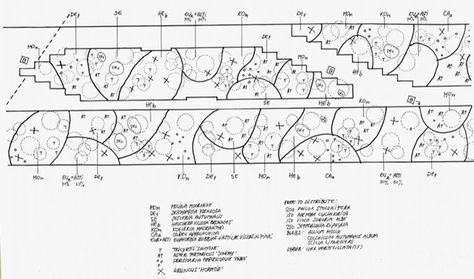 The secret? Oudolf employs the strategy of a layered matrix planting.This is where a single species—or handful of species in this case—dominates the planting, forming a matrix into which other plants are blended.  The strength of this strategy is that the base material provides year-round interest and acts like a filler,while the perennials provide structure and seasonal accent.The grasses add the loose,natural look,while the perennials create the tension that gives the project its artistic edge Matrix Planting Plan, Layered Planting, Matrix Planting, Piet Oudolf Planting Plan, Spatial Diagram Landscape Architecture, Thomas Rainer, Structural Planting, Plant Diagram Landscape Architecture, Nyc Highline