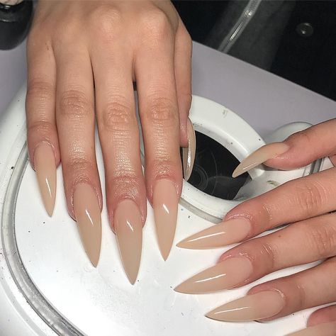 Long Stiletto Nails, Claw Nails, Shiny Nails, Nails Aesthetic, Fabulous Nails, Nails Toes, Nail Nail, Nails Done, Dope Nails