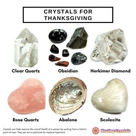 In this article we recommend our top 7 favorite crystals for Thanksgiving to promote peace within any family group as well as within yourself if you're the one hosting family and friends over the holidays. They also promote gratitude, strength and fortitude while celebrating the harvest and getting ready for the winter. Cristal Stone, Christmas Crystals, Benefit Of Yoga, Crystal Encyclopedia, Witch Stones, Crystals And Meanings, Thanksgiving Videos, Cleansing Rituals, Crystal Seashells