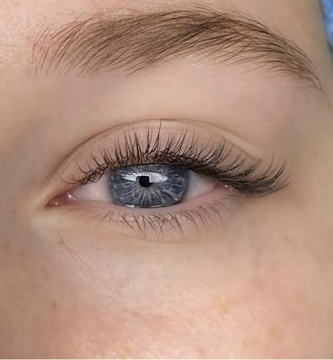 Natural Fake Eyelashes Falsies, Super Natural Eyelash Extensions, Classic Wet Look Lash Extensions, Natural Eye Lash Extensions, Light Wispy Eyelash Extensions, Short Natural Lash Extensions, Natural Looking Lash Extensions, Single Lash Extensions, Natural Fake Lashes