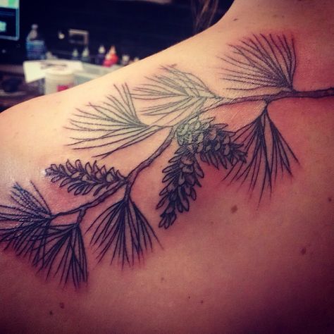 Pine tree branch tattoo!                                                                                                                                                                                 More Pine Tree Tattoo Back, Pinecone Tattoo, Cone Tattoo, Pine Tattoo, Tattoo Mountain, Tree Branch Tattoo, Snow Tattoo, Pine Tree Branch, Tree Tattoo Back