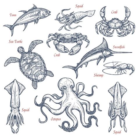 Sea Animals Cute, Crab Tattoo, Ocean Tattoos, Fish Market, Aquatic Animals, Sea Animal, Nautical Art, Fishing Theme, Crustaceans